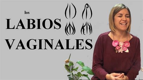 labios vaginales grandes|Vagina Labios Grandes: Todo lo que Necesitas Saber